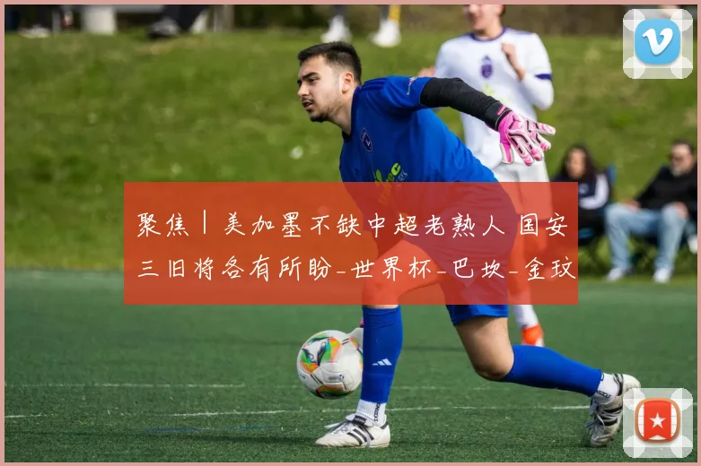 聚焦｜美加墨不缺中超老熟人 国安三旧将各有所盼_世界杯_巴坎_金玟哉